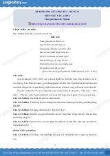 Đề thi giữa kì 1 Văn 8 - Đề số 13